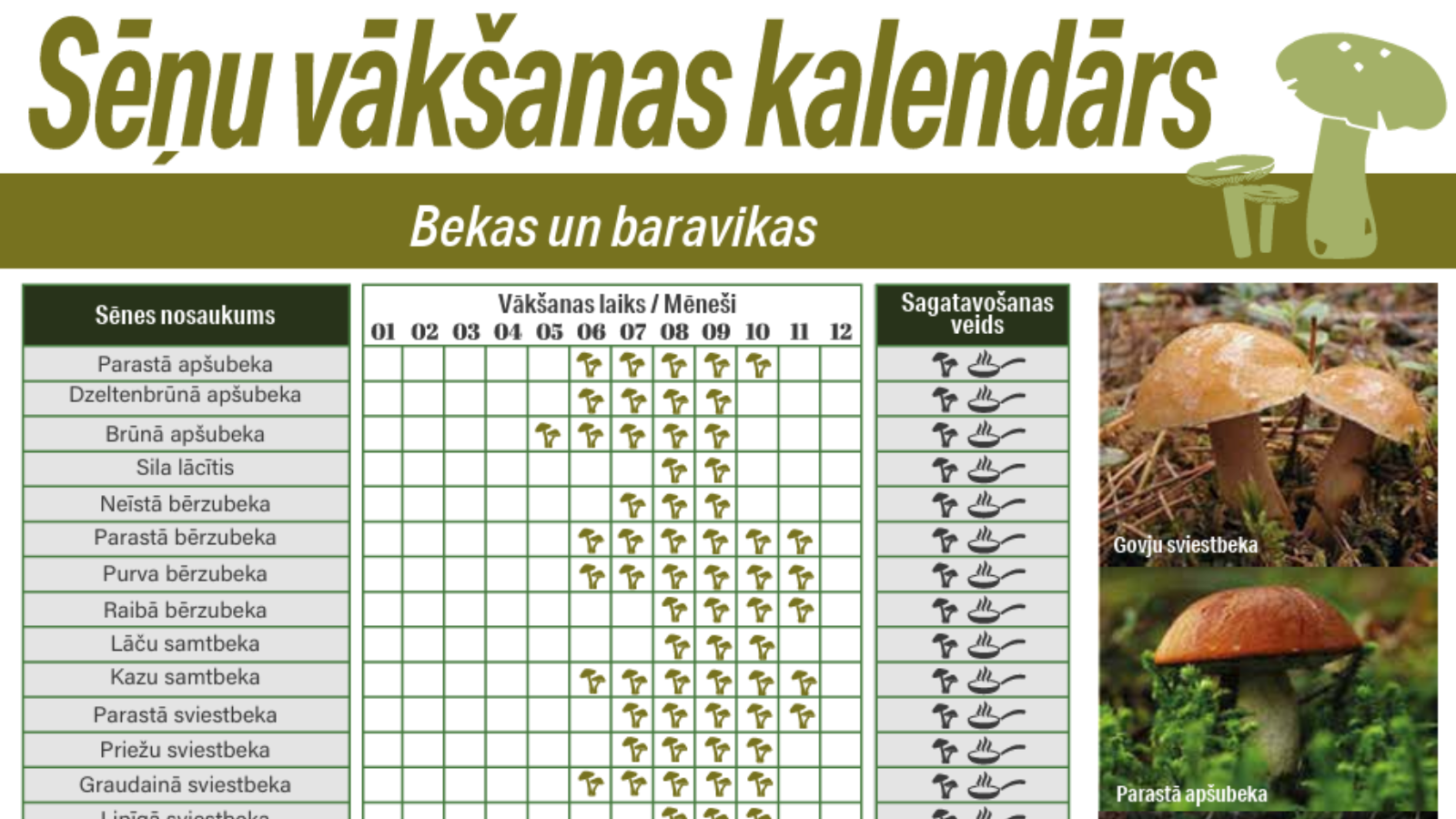 Projekts "Sēņu ceļš"
